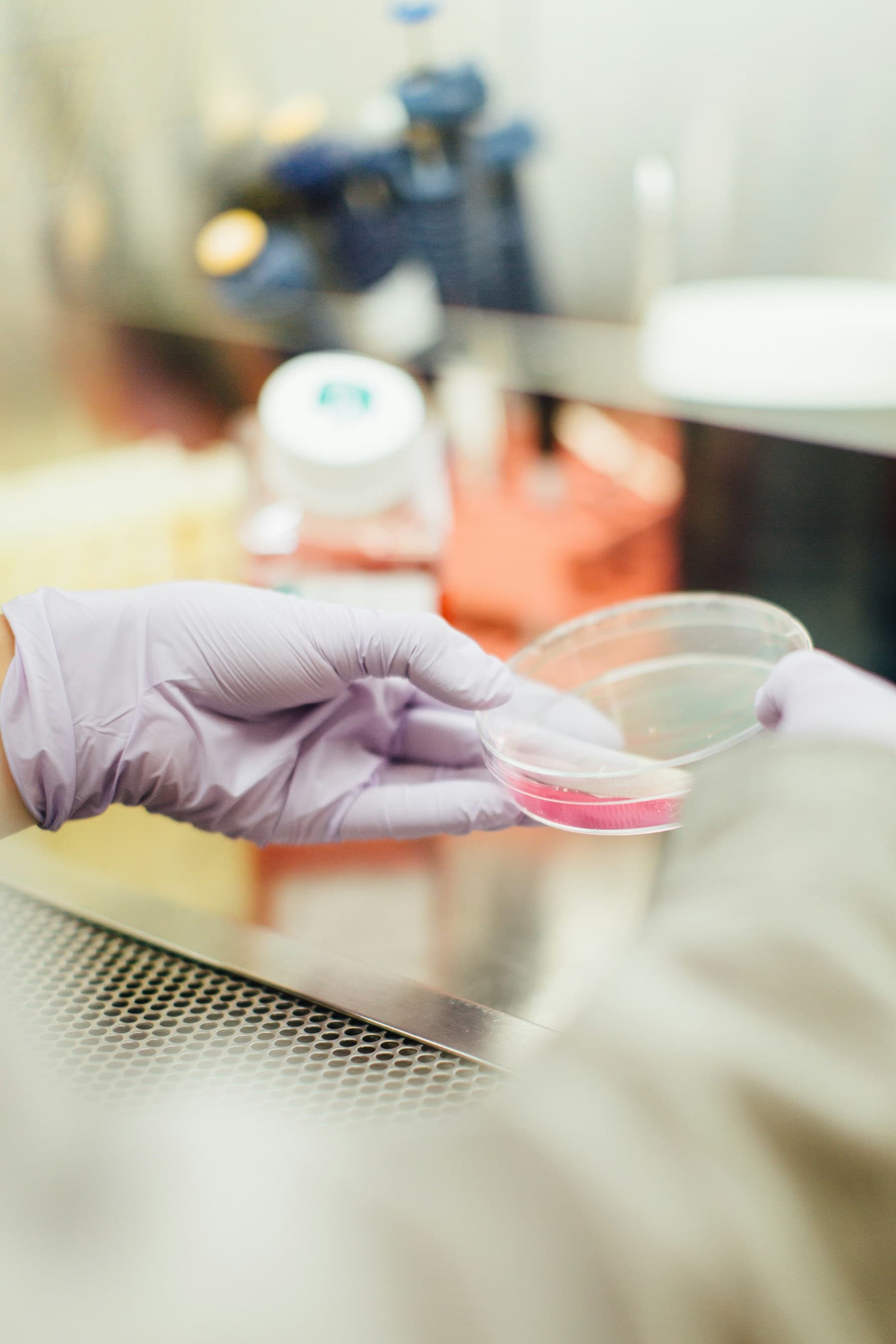 A hand holding a clear laboratory sample dish