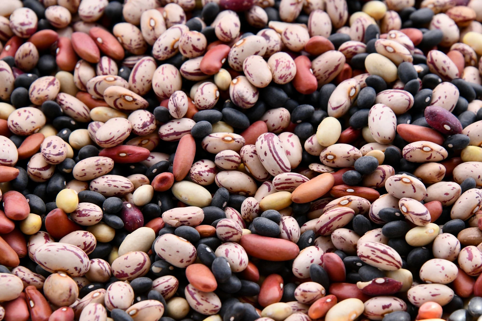 A close-up of assorted dried beans